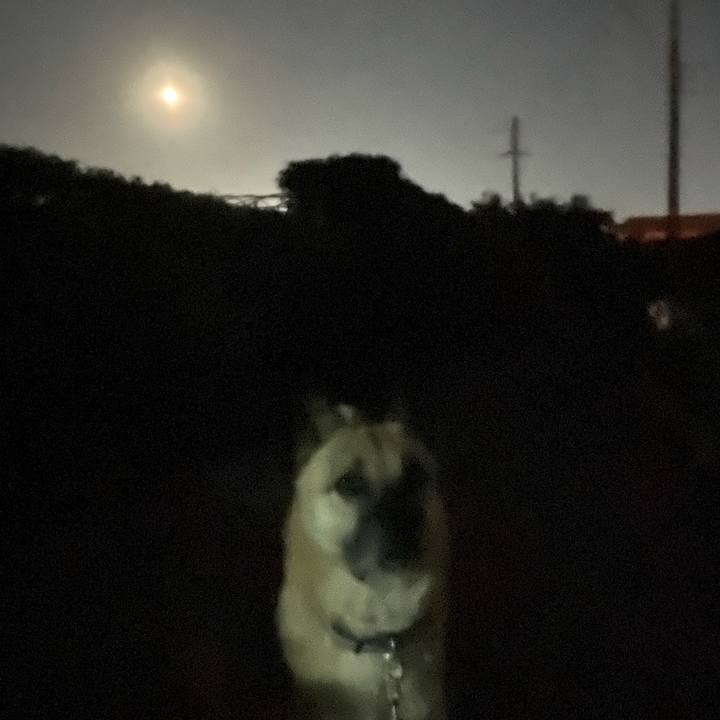 60129cf7 b3ef 417e a883 abe85fcb207c 1667912125990