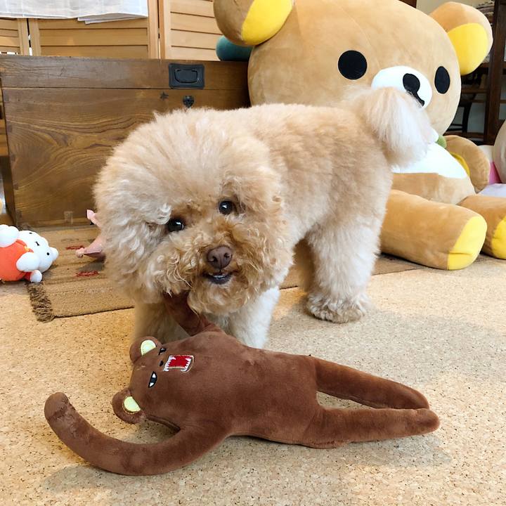 6012ab4f 201a 4faa b5f9 9a75bb33ed1d 1518767081742