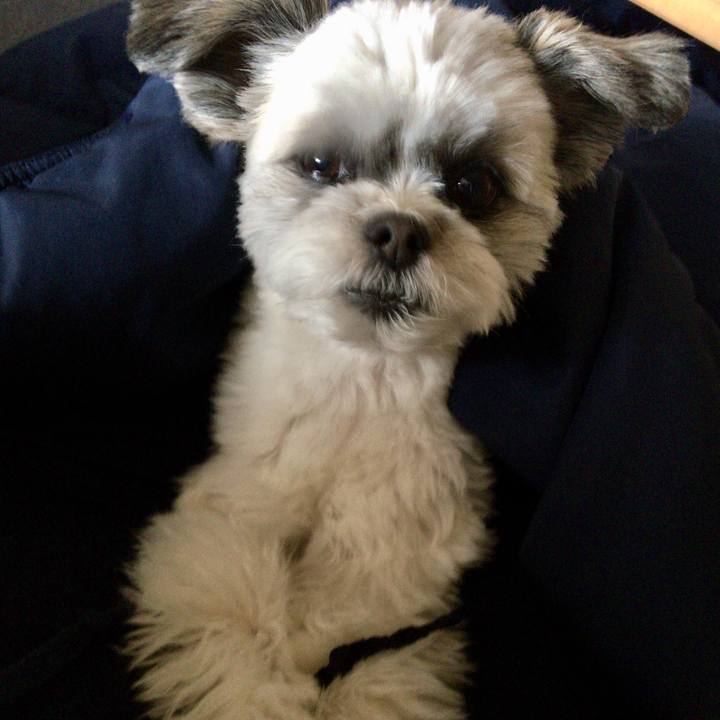 60130911 11da 48fa be5d 31271133e710 1521156520615