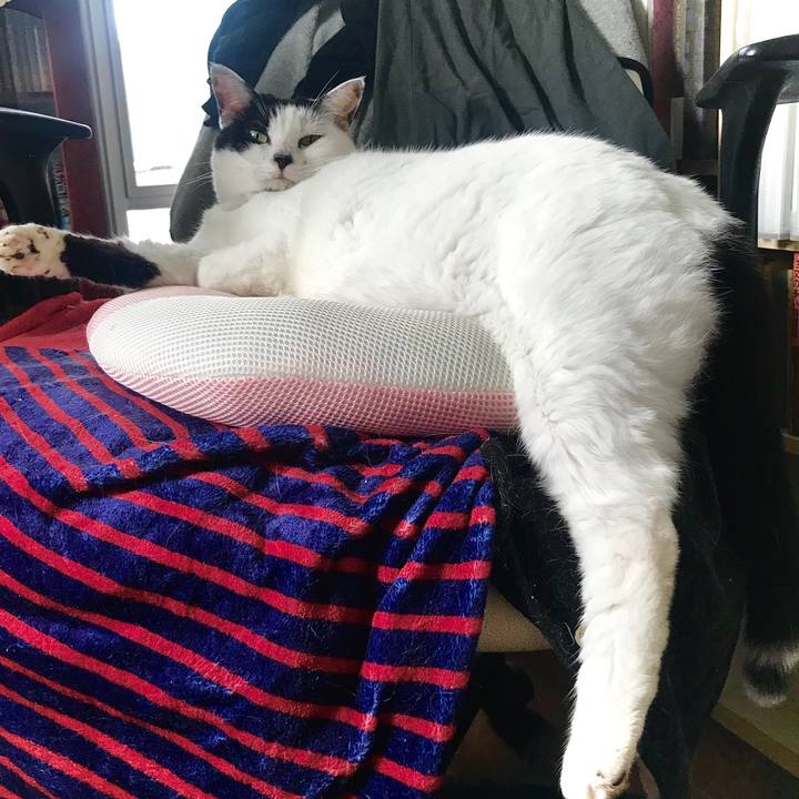 601329b3 5255 4fcf 8deb 7224055d20de 1595684727981