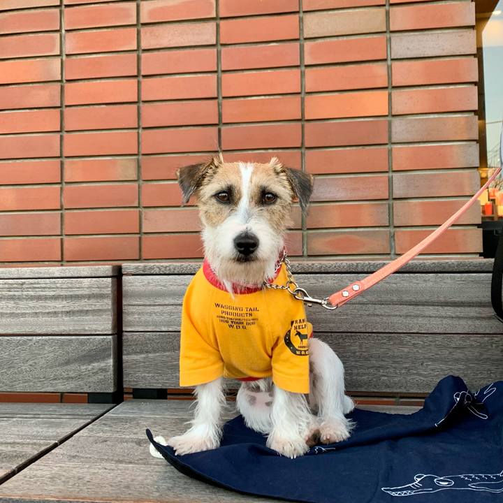 60137006 b0df 45e9 a0de 3214776af520 1606040740358