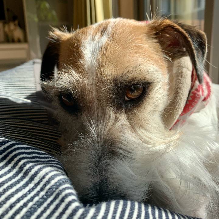 6013a1f9 bd59 43db a130 40ed280c6f45 1675837669286