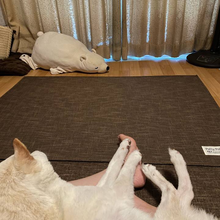 6013aa65 0f1a 49bc 8004 eab77b135f42 1662324201058