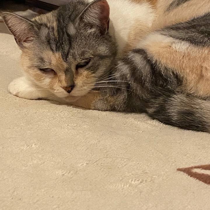 6013b5b8 ca8f 46b5 b78c 5bd07f1f9a2d 1601819859806