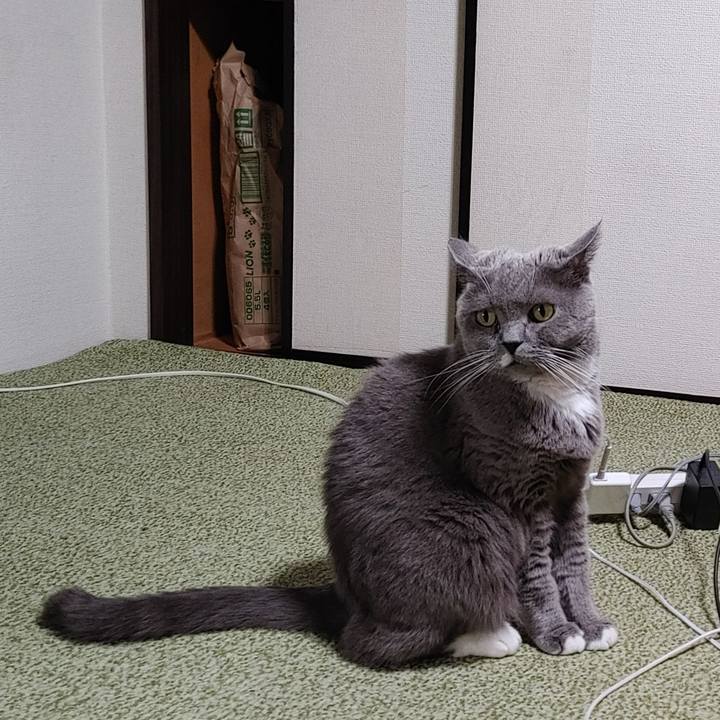 6013c5d4 d337 43f3 b218 32c65b1cc826 1736912941958