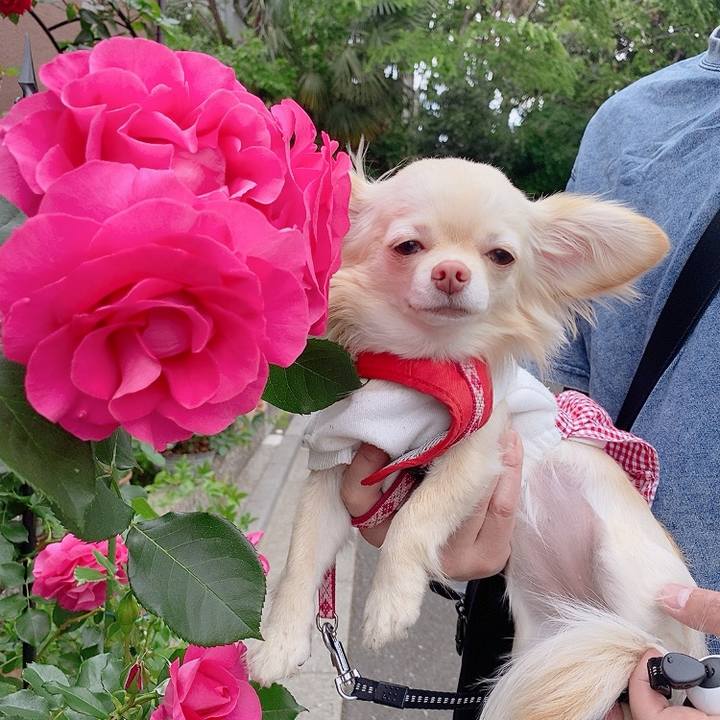 6013cb82 1041 47de a597 511b8aa6135f 1619855058838