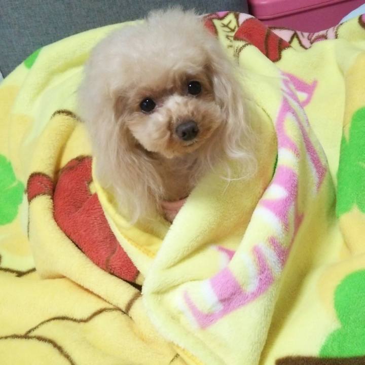 6013f548 5843 4261 92b4 6c8c7ad4f437 1551265943324