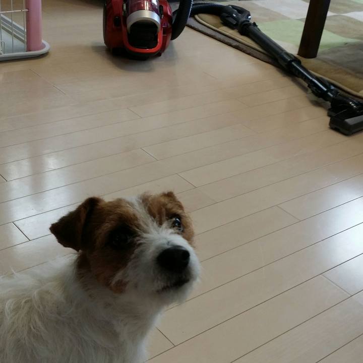 601403f1 d130 4d03 a283 c218cc663a65 1514503373275