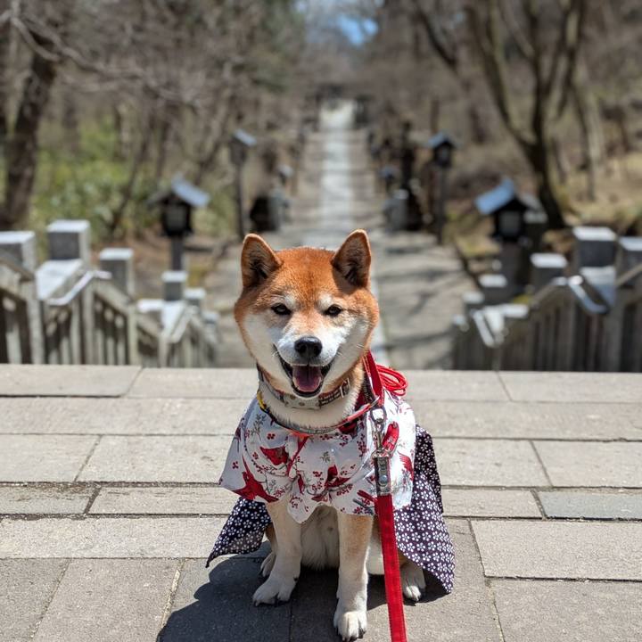 6014176c b846 4355 9472 01b37d39611d 1745414261312