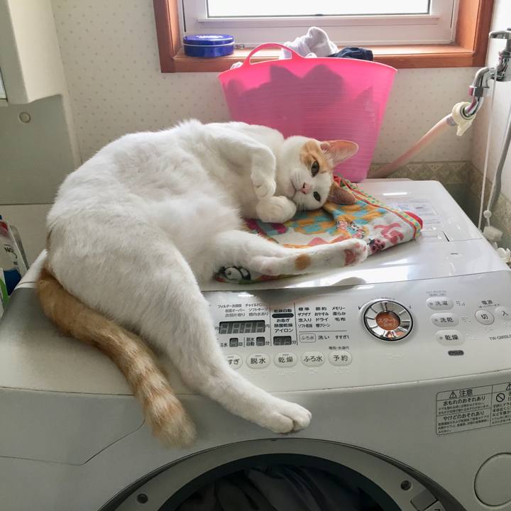 6014913b 06c9 46ac 949b 97063b1b5550 1528612464376