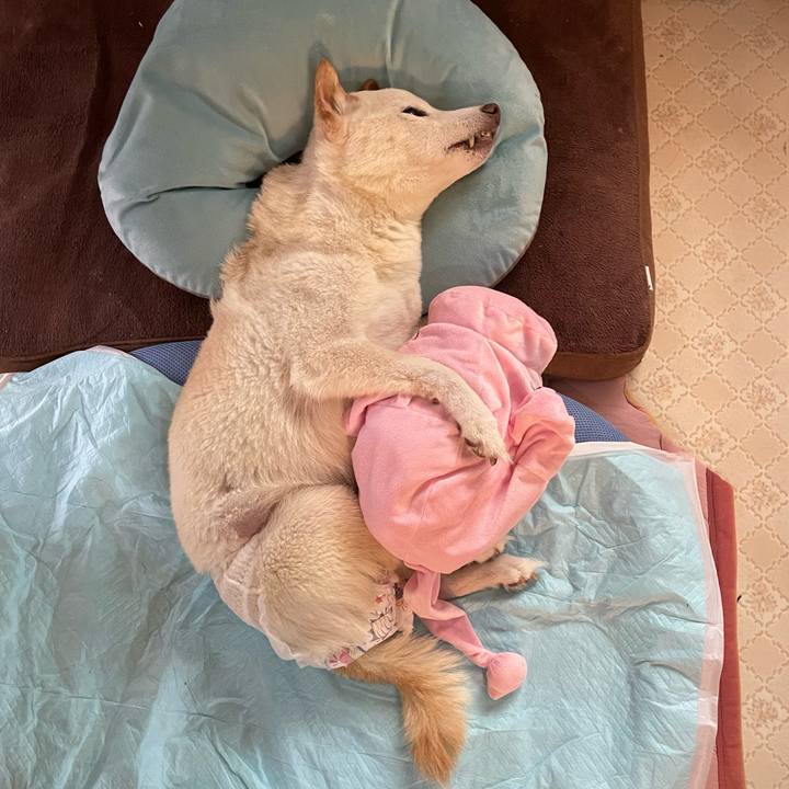 6014929a 9a5a 46bb b9c5 6820c0fd1cc3 1665990430795