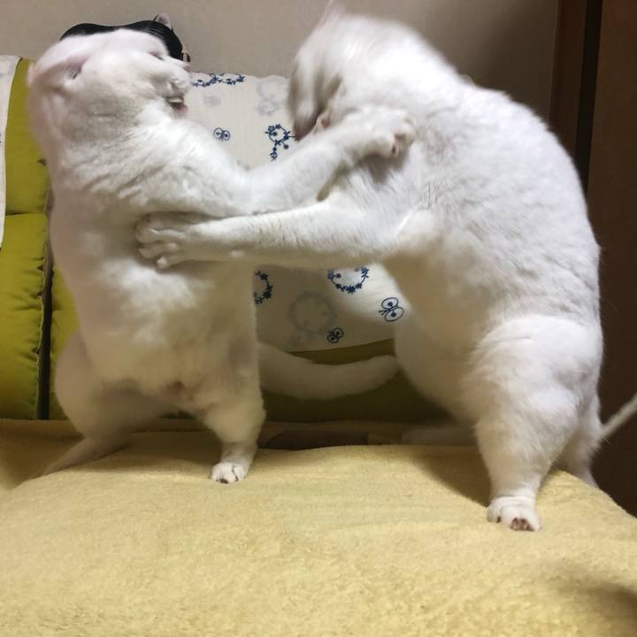 6014df05 2409 40d9 b536 724718dfc4fa 1570869117637