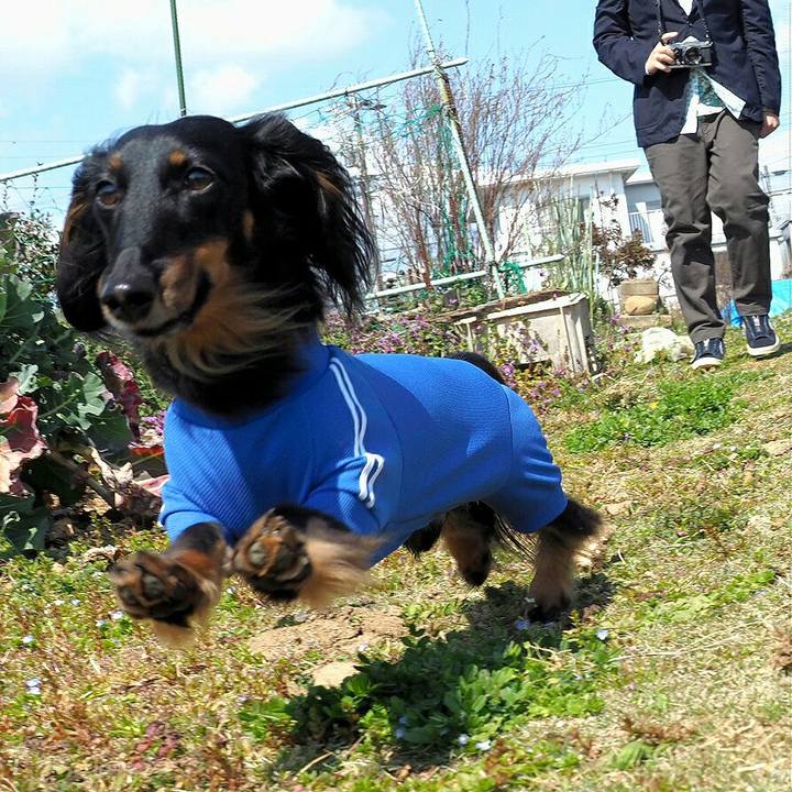 6014e83c fa2f 47d9 8aa8 4a4885916942 1552713971154