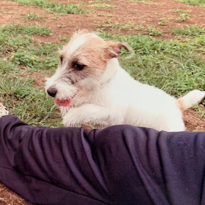 60150853 9b78 464f b8c9 8f29f78c9909 1567753188223