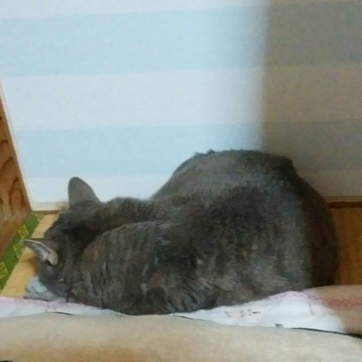 60151676 5e72 4c0e a1cf 87f95ceb91fe 1596661407386