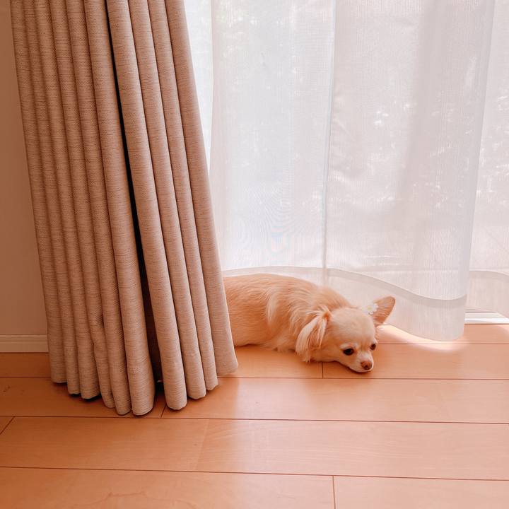 60152dfa b3c5 4804 81ed 81baef8395a4 1659141184070