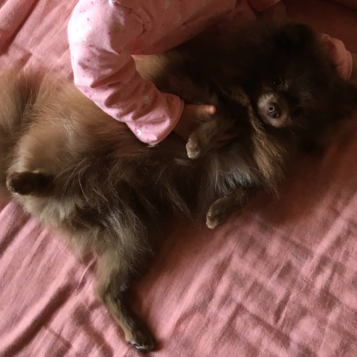 60153249 06b9 4a0b 8283 c1ca4978b4f5 1524117251049