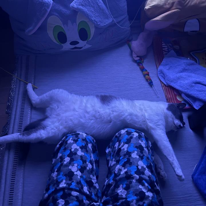 60153ffa e0f4 4bf1 9919 d1f89a95966d 1754586934816