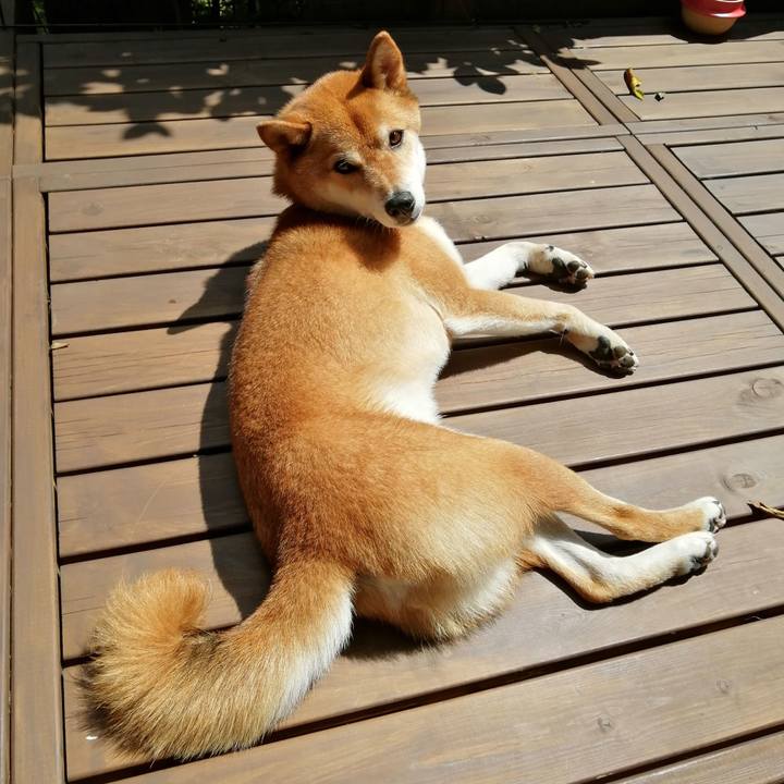 60155746 99b0 4672 8e21 fd0a70dfbaeb 1626323945976