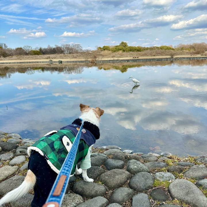 601559e2 3da6 4e6e bbcc 3c0f50499766 1707562228710