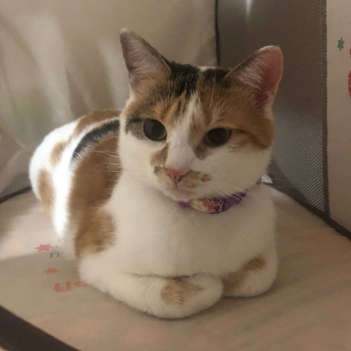 60155b92 5d58 420c a43e 8e6ba488ad40 1600865984816