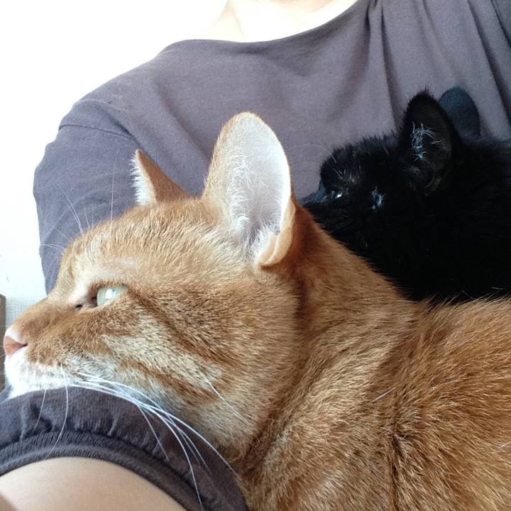 6015678a c9d0 4365 848d b6f81ab07465 1649084016311