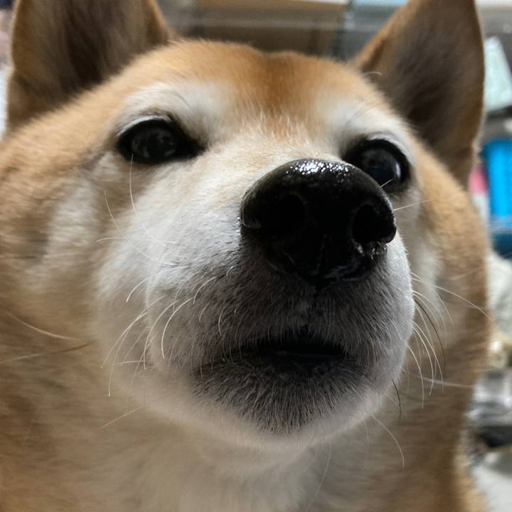 60156b4c 3681 449d aa2e 84f15ecafcb4 1643537841578