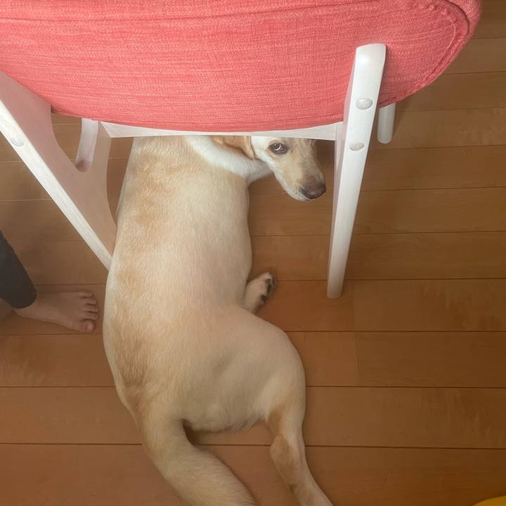 6015726a 22f1 4d9f bf18 96bf430a1dea 1653523731710