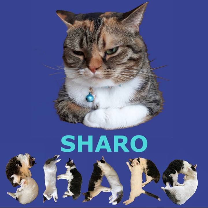 60158cb4 05b3 4d8f 9e47 2a14620ee3d4 1667385328299