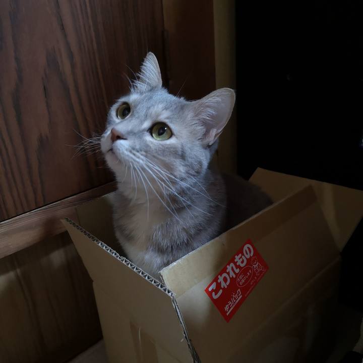 6015b954 886a 4828 bd43 5a903c3a8968 1556891803134