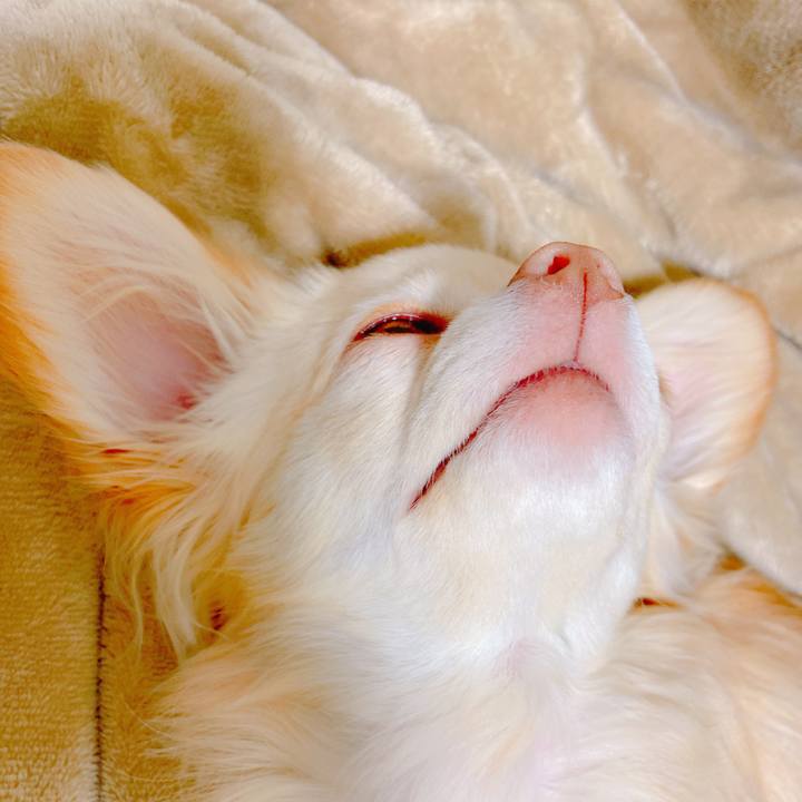 6015c47c cbb4 46ee 99e5 e987cbdc6146 1643234285579