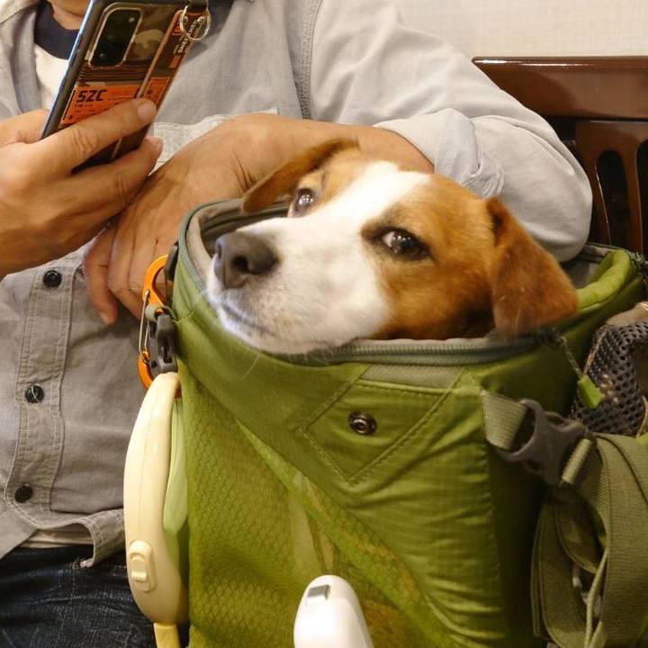 60164988 11d4 45ea a131 9955c736c7e2 1716548643125