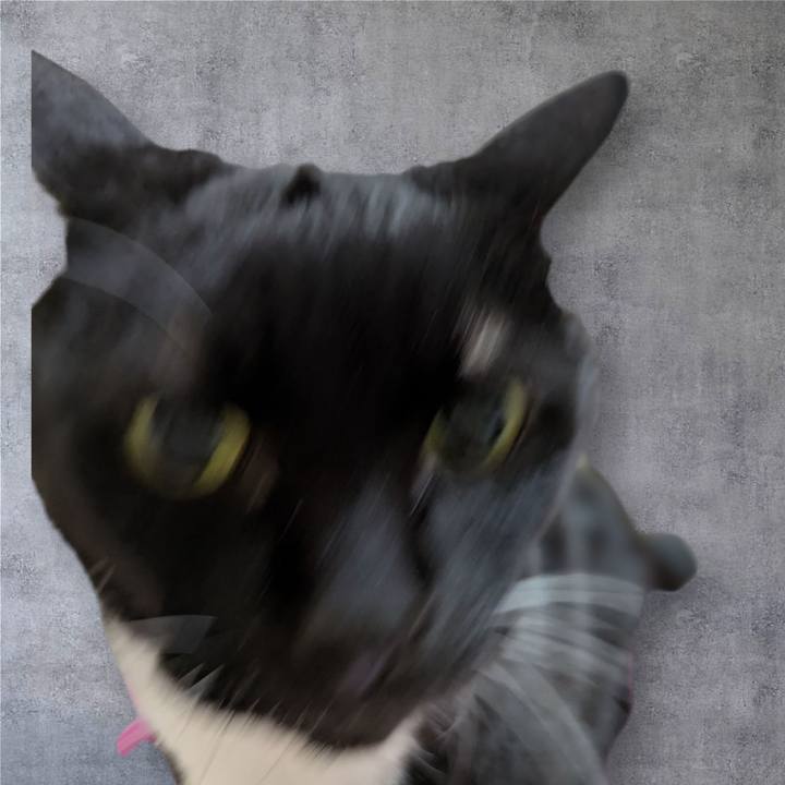 60165082 01bb 4185 92ff 0cc3c54bfe2e 1759722530731