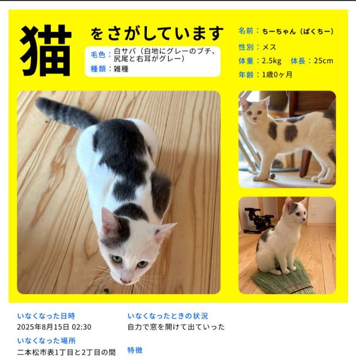 60167a54 cedd 4bb4 93ab 7056ff7b9dfe 1755605035948