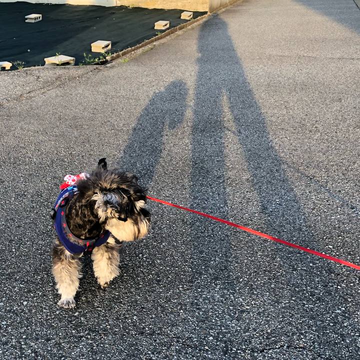 60169e57 767f 4a7c 9a74 a25e56ee576d 1622286277004