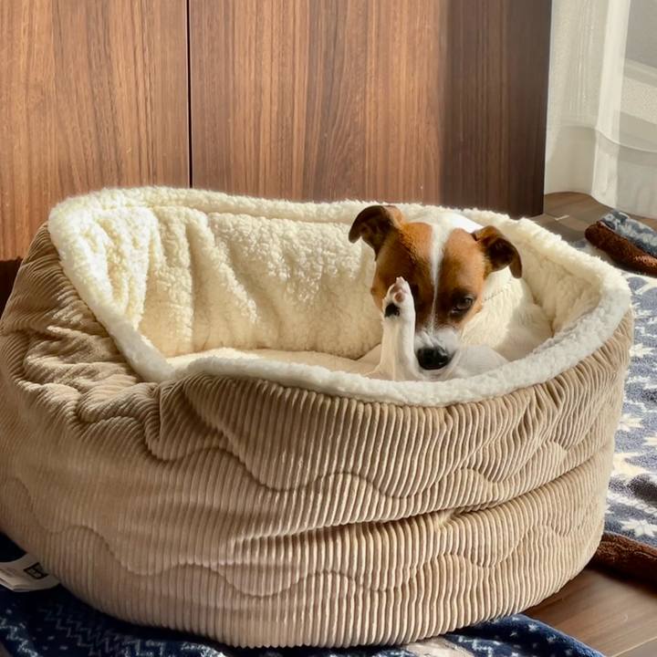 6016b59a 0b45 4e6f a73b 41756486e531 1645575628055