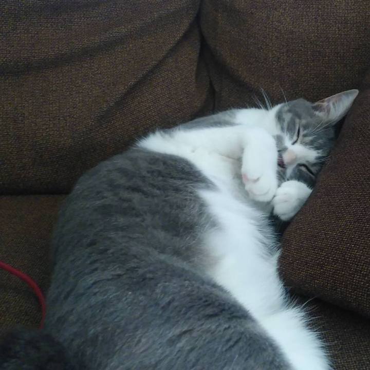 6016bbbc 23fa 4d1c b52c 72f1cbb5a63d 1594792364454