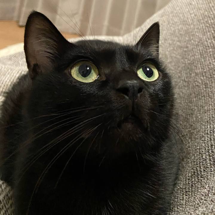 6016d464 61c0 4d2f 9eac 48ef885b66cb 1673350690344