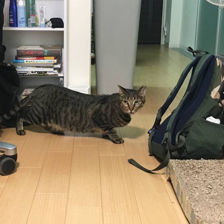 6016ecc5 0afc 4e30 ba10 b921c8cc2a3e 1535174180860