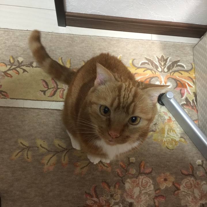 6016f17b aed0 4aa9 85b4 a89cc64c920a 1587040301377