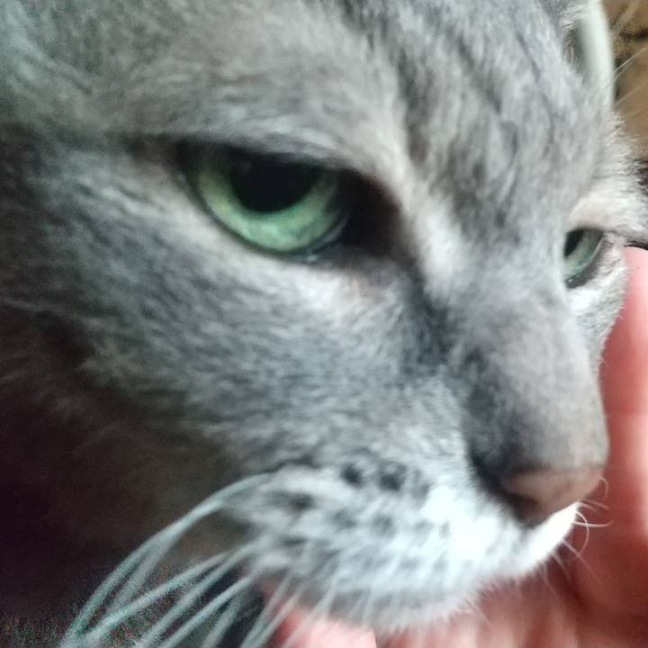 6017171f 5140 4d0e 96bb ba77665e5b03 1698878534084