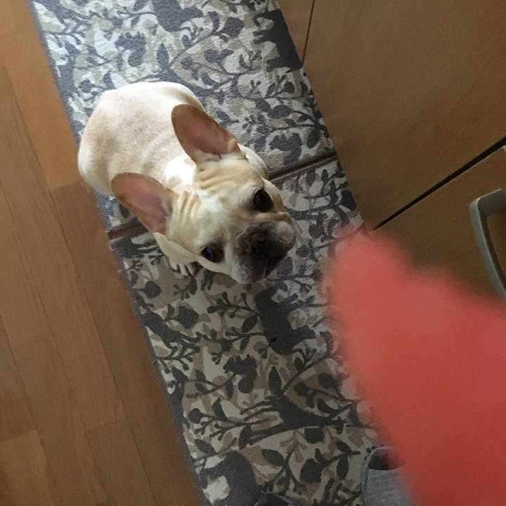 60174bc3 4674 4c23 ae7c e21f675bad59 1528182026087