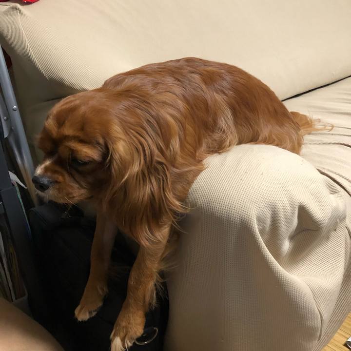 60177cd6 2182 4178 b6fa f6fc2cb73a9a 1561588118740