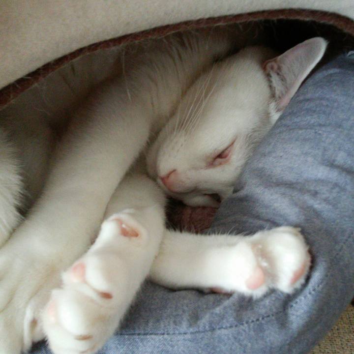 6017817a dc92 417c bb1d 386093028033 1516862113308