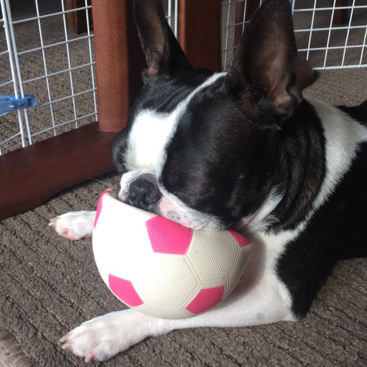 60178908 072c 4972 aae8 0e59e50f4a0c 1510713235657