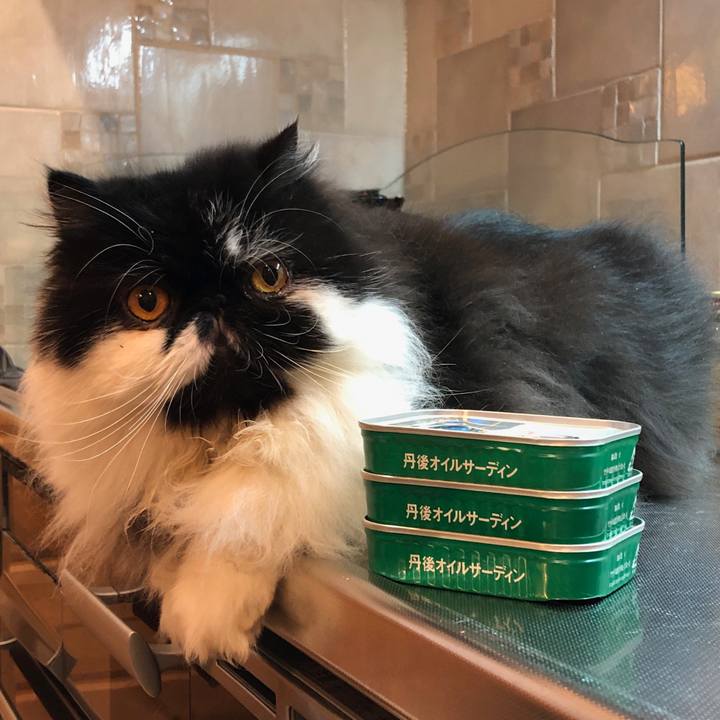 601792e8 1f3d 432c b820 7e8063eea9e5 1549852214159