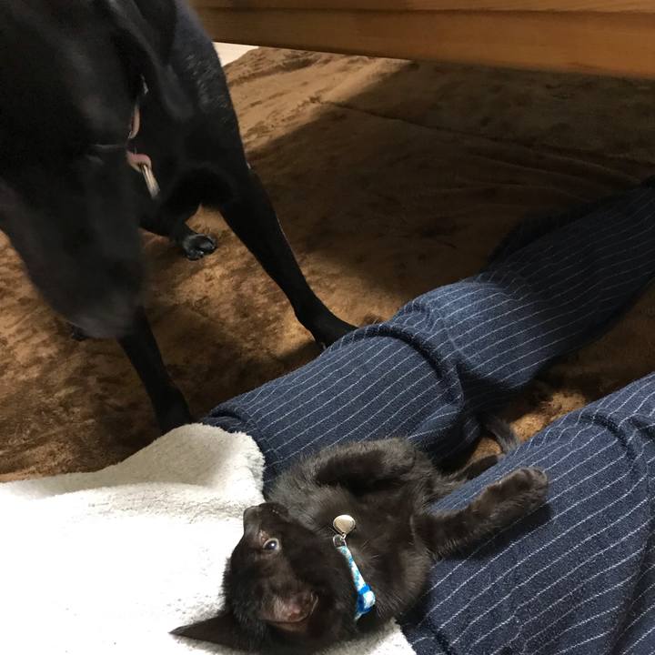 6017ab62 7b04 4fae b6c6 74aea49fb3ff 1575274284639