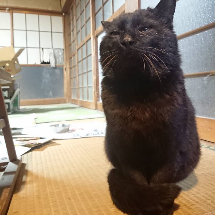 6017b4b3 da20 40cf 90cb 8c8d45fb6f5b 1617706009967