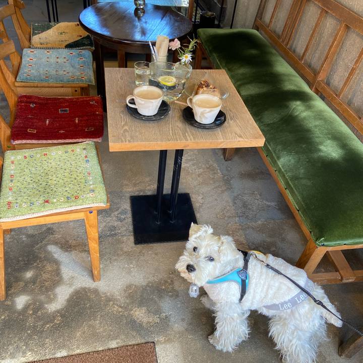 6017e455 5cef 4e44 8e93 b8c09d12f39f 1773619809542