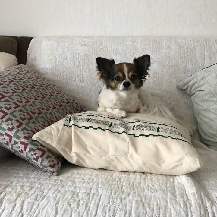 6017f12a d10a 43ff 82ef 39ef0c8046f1 1535503233300